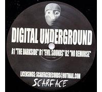 Digital Underground - The Darkside