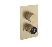 Digital Wall Mounted 2 or 3 Way Out Black or Brushed Gold or Gunmetal Gray Shower Mixer Valve with Display BathMixer(2 Way Brushed Gold)