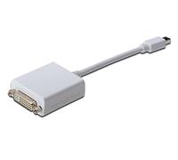Digitus 0.15m Mini DP Male to DVI-D Female DisplayPort Adapter Cable - White