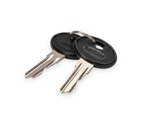 Digitus Replacement Key for Varioflex Network Cabinets, Unique Wall Enclosures & Server Cabinets and IP55 Wall Enclosures - Two Pieces - Black/Silver