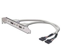 DIGITUS USB 2.0 slot bracket - 0.25 m - 2x IDC (5-pin) to 2x USB-A - 480 Mbps - for standard computer cases - beige