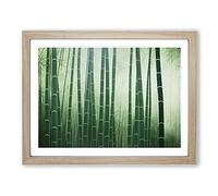 Dignified Bamboo Forest Framed Print | A3 Oak Framed Wall Art | Ready to Hang | Modern Landscape Picture | Living Room Bedroom Lounge Office