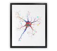 Dignovel Studios 11X14 Unframed Neuron Structure Illustration Watercolor Art Print Cell Neurology Medical Science Art Clinic Wall Hanging Decor DN927
