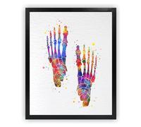 Dignovel Studios 18X24 Unframed Foot Bone Watercolor Art Print Human Anatomy Skeletal Medical Orthopedic Surgery Nurse Skeleton Print Clinic Decor Poster DN679