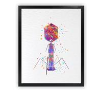 Dignovel Studios 8X10 Unframed Bacteriophage Medical Microbiology Virus Biology Bacteria Microscopy Science Watercolor Art Print Poster DN598