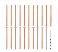 Diheohg 20 Copper Nails for Killing Stumps and Roots - 3.5 Inches Long, Comes with 1 Steel Nail and 1 Nail Punch