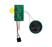 Diheohg DIY Greeting Card Voice Recording Chip 240 Seconds Recordable Voice Recording Module Recordable Voice Module Recordable Greeting Card Chip Play One Fo