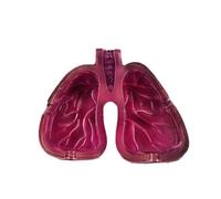 Diheohg Human Organ Body Art Lung Shape Resin Ashtray Home Bedroom Table Decoration Room Decor