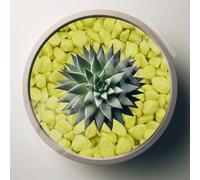 Dihl 2KG Fluorescent Yellow Premium Decorative Garden Stones, 3-8mm, Natural Plant Pot Topper Gravel for Landscaping, Vase Fillers, Succulents and More - 2 KG