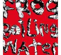 DIIV – Frog in Boiling Water – CD (2024)