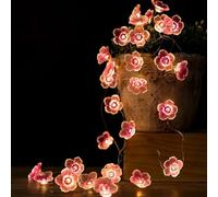 DiiWmme 2M 20 LED Pink Cherry Blossom Fairy Lights, Battery Operated Flower String Lights for Bedroom Decor, Indoor Spring and Christmas Decorations, Girls Room Gift (Flowers)