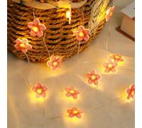 DiiWmme 2M 20 LED Pink Cherry Blossom Fairy Lights, Battery Operated Flower String Lights for Bedroom Decor, Indoor Spring and Christmas Decorations, Girls Room Gift (Peach Blossoms)
