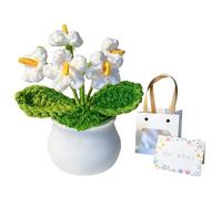 DiiWmme Handmade Crochet Flowers Bouquet, Knitted Flower Gift Set with Card and Bag, Artificial Potted Plants for Home Office Desk Decor, Perfect Christmas Birthday Graduation Gift (Forget-Me-Not A)