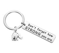 DiiWmme Personaklized Elephant Keychain Keyrins Don't Forget How Strong You Are Keyring Ornaments Pendant,Y2K Keychain Accessories for Car Bag Backpack for Personal use Birthday Gift