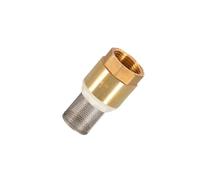dijiusidy Optimal Pump Efficiency Brass Foot Valve with Mesh Filter Internal Thread Check Valve Prevents Backflow Check Maintains Pump Primed Water Well, Golden, DN25 with Mesh