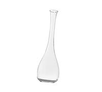 dijiusidy Plant Glass Desktop Vase Set Wonderful Easy To Clean Decor Ready To Home Office Provide Watering For Plant Growth Glass Flower Vase Table Decor Clear Modern, Clear, Model F
