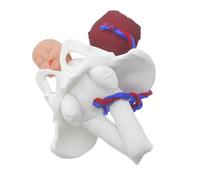 DIKACA 1 Set Realistic Childbirth Simulation Tool for Prenatal Education and Midwifery Programs Enhancing Understanding of Labor Process
