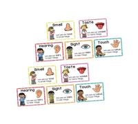 DIKACA 2 Sets Flashcards Early Learning Posters for Cognitive Sensory Development Safe Educational Cards for Preschool Multipurpose Visual Aid for Classroom and Home