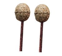 DIKACA 2PCS Catnip Lollipop Chew for Small to Medium Cats Edible Polygonum Molar Chewing Sticks for Teeth Cleaning and Gum Health Portable Brown Cat Mint Balls for Indoor Play and