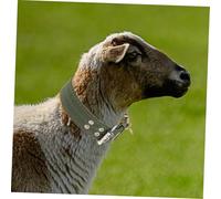 DIKACA 2Pcs Thickened Canvas Sheep Collars Adjustable Green Livestock Traction Neck Straps Comfortable for Goats and Sheep Safety