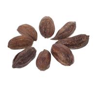 DIKACA 8pcs Natural Dried Fruit Foraging for Parakeet Cockatiel Birds Chewing Bite to Reduce Boredom and Promote Healthy Beak Activity