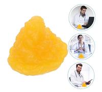 DIKACA Anatomical Fat Model Tpe Material Demonstration Device for Student Learning Visualizing Human Adipose Tissue and Weight Loss Education