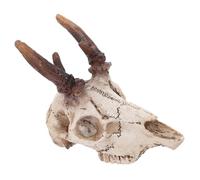 DIKACA Elk Skull Ornament for Reptile Terrarium Decor Real Animal Skull Fish Tank Decoration Fits Snake Chameleon Cage Accessories for Terrarium