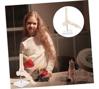 DIKACA Human Foot Joint Anatomical Model PVC Foot Bone Skeleton Medical Teaching Aid for Schools Hospitals and Anatomy Study
