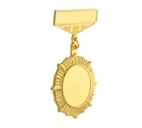 DIKACA Metal Retro Medal Badge Brooch Pin Zinc Alloy Sturdy Honor Lapel Pin for Men Costume Uniform Ribbon Accessory Versatile and Easy to Attach Personal Achievement Display