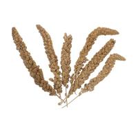 DIKACA Natural Millet Treat for Budgies and Parakeets Dried Bird Snack with Shell for Cockatiels Finches Parrots and Hamsters Wild Simulation Foraging Food Rich in Vitamins for Healthy