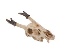 DIKACA Resin Reptile Hideout Skull for Turtle Tank and Snake Habitat Naturalistic Resin Cave Decoration for Frog Terrarium Aquarium Ornament for Bearded Dragons and Amphibians