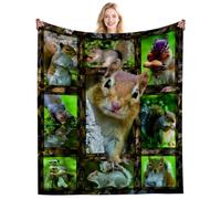 DikoGoGo Cute Squirrel Gifts Blanket for Women Adults Men Squirrels Throw Blanket Stuff Cozy Plush Bedding Squirrel Gifts for Birthday Decorations 50"X40"INCH