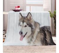 DILANI 3D Alaskan Malamute Throw Blanket Dog Animal 3D Print Fleece Flannel Blanket Super Warm Lightweight Fluffy Soft Comfortable Blanket for Indoor Bed Sofa Chair Adults Winter 130x150cm