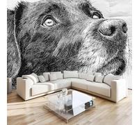 DILANI Photo Wallpaper Cartoon Dog 300x210 cm Non-Woven Wall Mural 3D Kawaii Wallpaper Murals for Living Room,Bedroom,Kids Room,Office,TV Background Home Deco