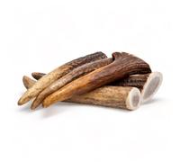 Dilecti Premium Natural Deer Antlers For Dogs - Rich in Proteins & Minerals - Durable, Long Lasting Dog Chew for Dental Care, Teething, and Boredom - Hard XS, (20-50g), pack of 5