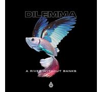 Dilemma - A River Without Banks [VINYL]