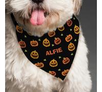 Diletto Gifts Personalised Pumpkin Patch Dog Bandana