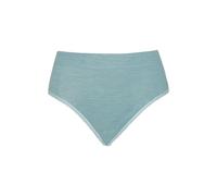 Dilling Women's Merino Wool and Silk High Waist Briefs, Arctic Blue, 10