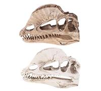 Dilophosaurus Skull Model with Weathered Skeletal Detailing | Distinctive Paired Crests and Open Eye Sockets, Weathered Bone-Inspired Finish, Detailed Accent for a Dinosaur