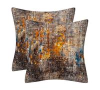 DILOXNSU Set of 2 Cushion Covers 40 x 40 cm Retro Rusty Soft Decorative Velvet Cushions Cases 16x16 inches for Sofa Couch Bed Living Room Patio Garden Home Decor Abstract Art Series
