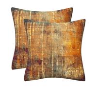 DILOXNSU Set of 2 Decorative Cushion Covers 40 x 40 cm Retro Orange Soft Velvet Pillow Case 16x16 inches for Outdoor Patio Garden Sofa Living Room Home Decor Abstract Art Series