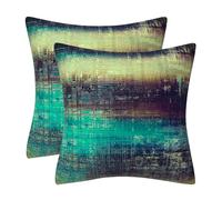 DILOXNSU Set of 2 Decorative Cushion Covers 40 x 40 cm Retro Teal Noir Soft Velvet Pillow Case 16x16 inches for Outdoor Patio Garden Sofa Living Room Home Decor Abstract Art Series