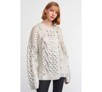 Dilvin Women's Oversized Cable Knit Crew Neck Sweater in Medium Beige Dilvin Medium Beige One Size