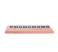 Dilwe Electronic Keyboard Plastic Keyboard Piano with 54 Keys Microphone Recording 8 Tones 5 Rhythms Dual Power USB or Battery for Kids Learning Practice (Pink)