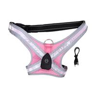Dilwe LED Dog Harness, Rechargeable Light Up Vest with 7 Color Modes, Adjustable Reflective No Pull Pet Harness for Small Medium Large Dogs, Built in Leash Ring (Pinkish)