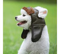 Dilwe Pet Aviator Cap Exquisite PU Leather Pilot Hat Spring Clip Warm Pet Hat for Dogs Cats (198)