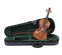 DIMAVERY Violin 1/4 with Bow, in Case | Violin 1/4