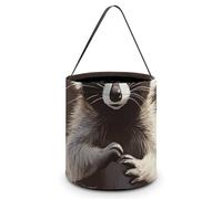 [Dimensions: 7.9W X 8.3L X 7.1Handle Inches]Halloween Tote Cute Raccoon Printed Candy Bags - Reusable for Parties & Gifts