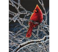 Dimensions ICE Cardinal, Cotton, Multi-Colored