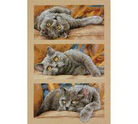 Dimensions MAX The CAT, Cotton, Beige, 10 Inches x 15 Inches